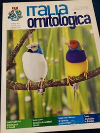 riviste Italia ornitologica