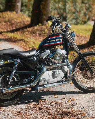 Harley Davidson sportster 883 custom