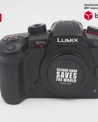 Panasonic GH5 S