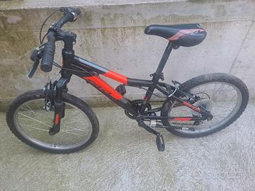 Bicicletta 20