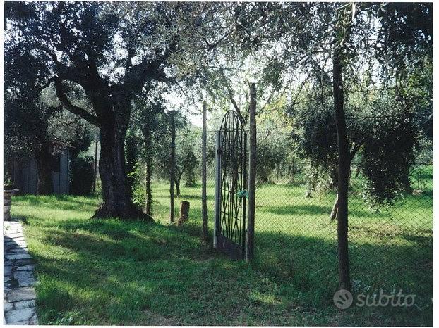 Terreno edificabile - Vista 2