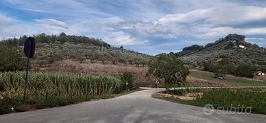 Terreno agricolo con pozzo