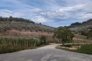 Terreno agricolo con pozzo