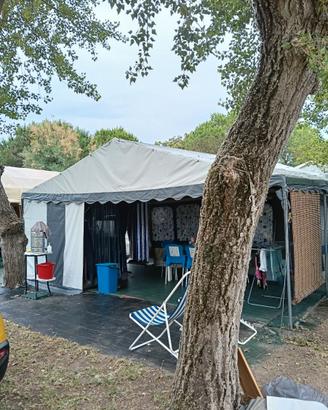 Struttura Dancover 6x8