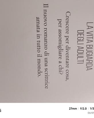 la vita bugiarda degli adulti Elena Ferrante come 