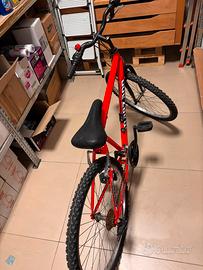 Bici a pedali