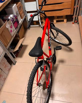 Bici a pedali