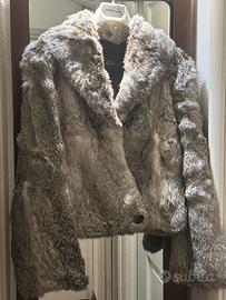 Giacca in lupin Grifoni