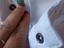 Immagine 4