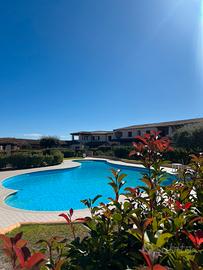 Splendido appartamento con piscina Porto San Paolo