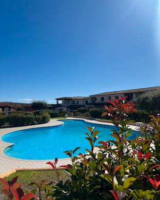 Splendido appartamento con piscina Porto San Paolo