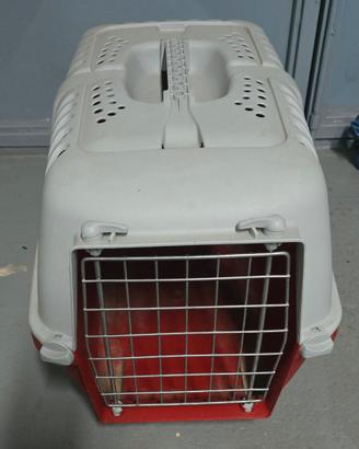 trasportino per animali