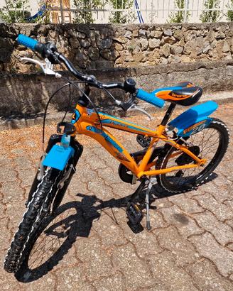 bici 20 Lombardo