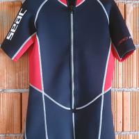 Mutino Seac taglia S