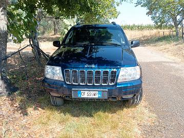 accessori e auto 