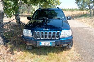 accessori e auto 