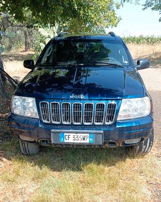 accessori e auto 