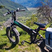 bici pieghevole fiido M1 NO PRO