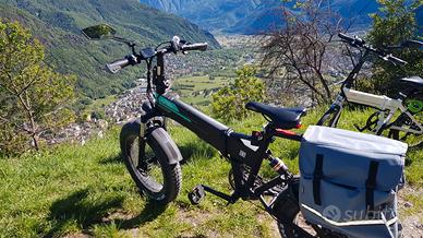 bici pieghevole fiido M1 NO PRO