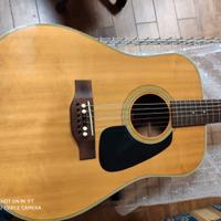 Chitarra 12 corde Morris