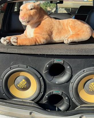 Impianto stereo