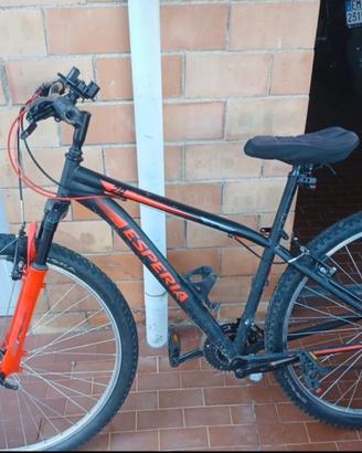 Bicicletta con marce