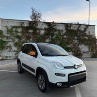 Fiat Panda 0.9 TwinAir Turbo s&s 4x4 ANTARTICA