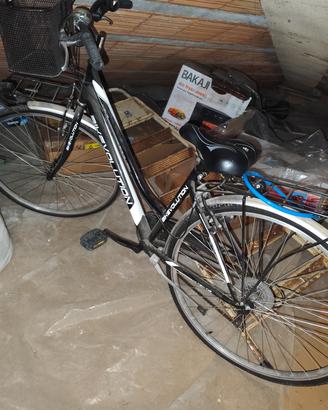 Bicicletta Bikeevolution 29 mod. olandese
