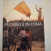 Pechino è in coma - Ma Jian  mondolibri 2009 nuovo