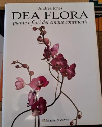 libro Dea Flora piante e fiori dei 5 continenti