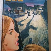 Caccia al ladro sui canali