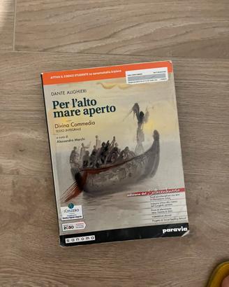 Per l’alto mare divina commedia