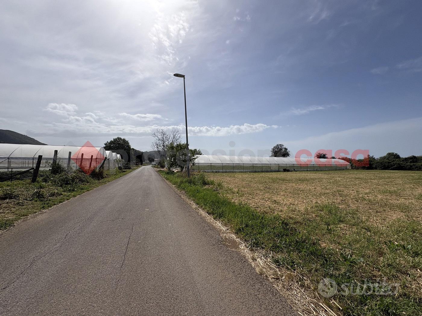 Terreno Agricolo Terracina [Cod. rif 3310884VCG] - Vista 4