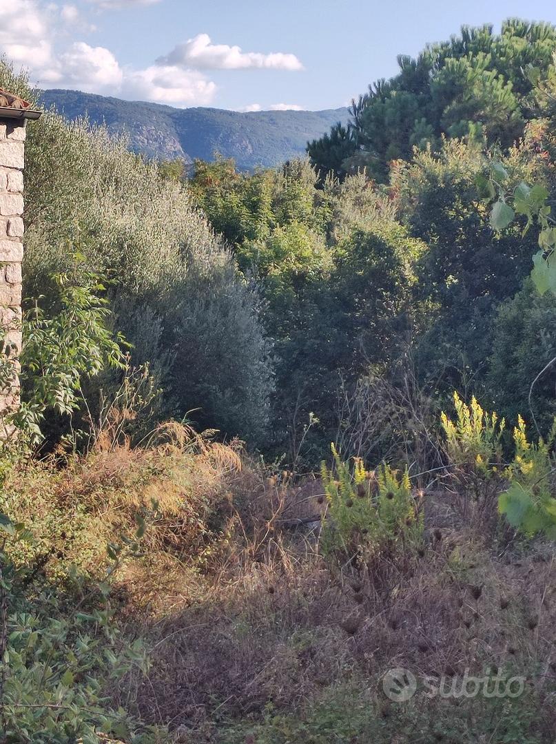 Lotto di Terreno edificabile - Altro