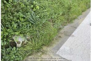 Appartamento Chiesina Uzzanese [A4345116]