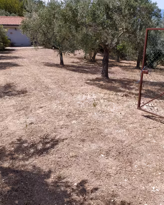 Casa con terreno