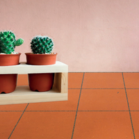 Pavimenti in klinker smaltato