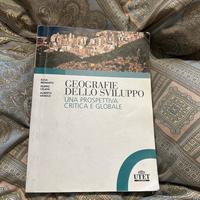 Geografie dello sviluppo