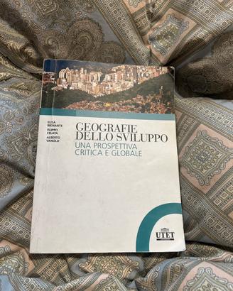 Geografie dello sviluppo