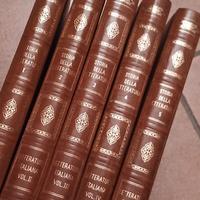 letteratura italiana 