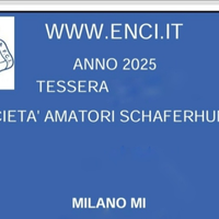 Addestratore cinofilo