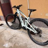 Ebike focus