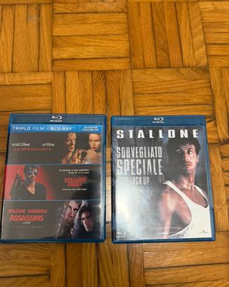 Lotto stallone blu ray