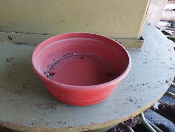 200 vasi ciotole 20cm di diametro nuovi mai usati 