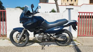 SUZUKI XF 650 Freewind - Iscritta FMI