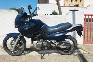 SUZUKI XF 650 Freewind - Iscritta FMI