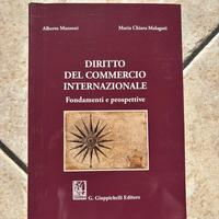 Diritto del commercio internazionale