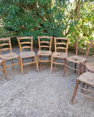 sedie in legno