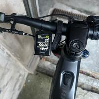 Focus Thon2 taglia L-48