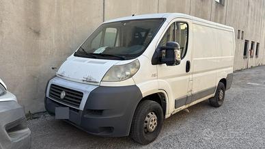 fiat ducato frigo